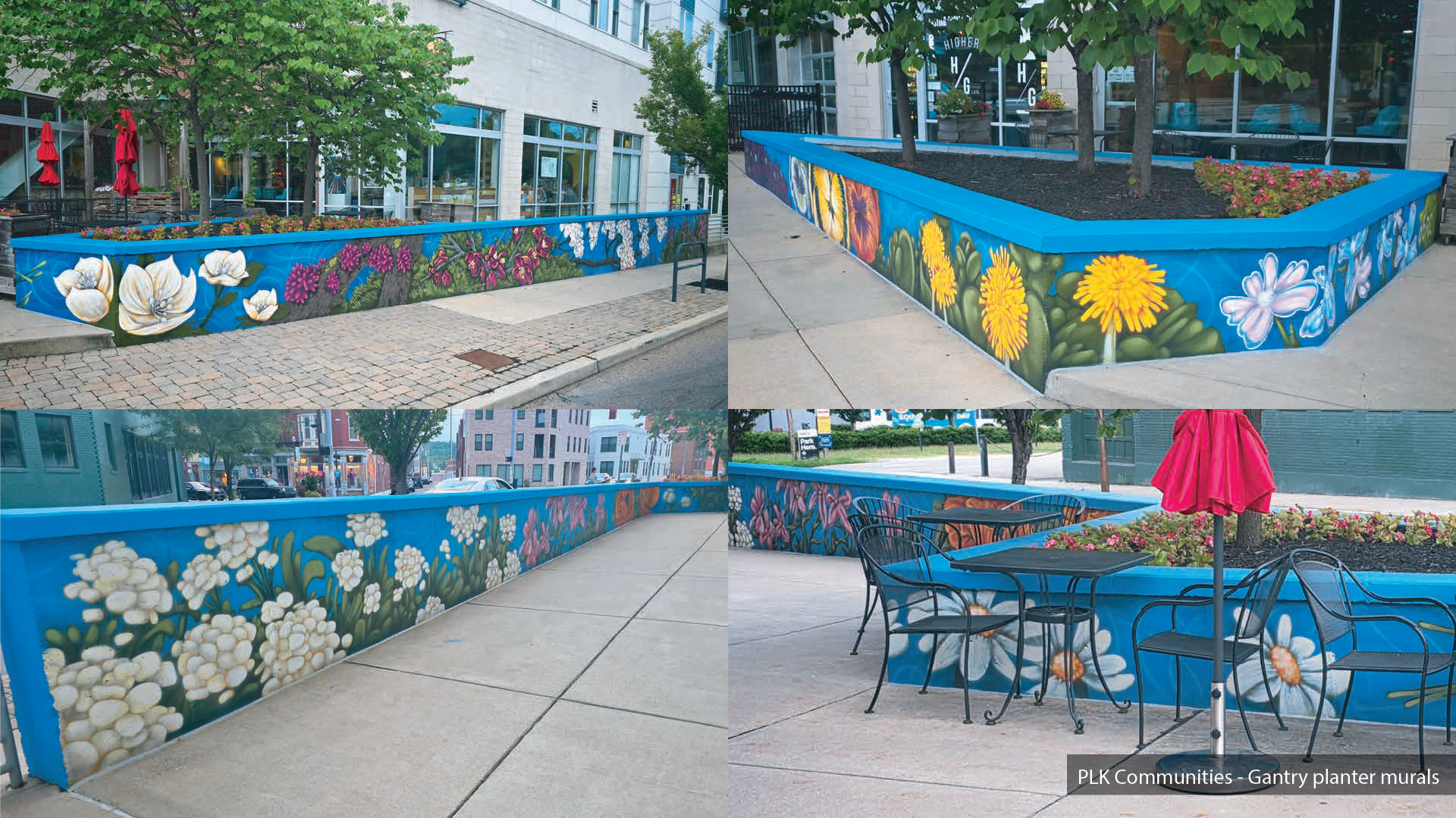 Mural 6